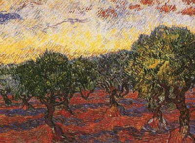 Vincent Van Gogh Olive Grove